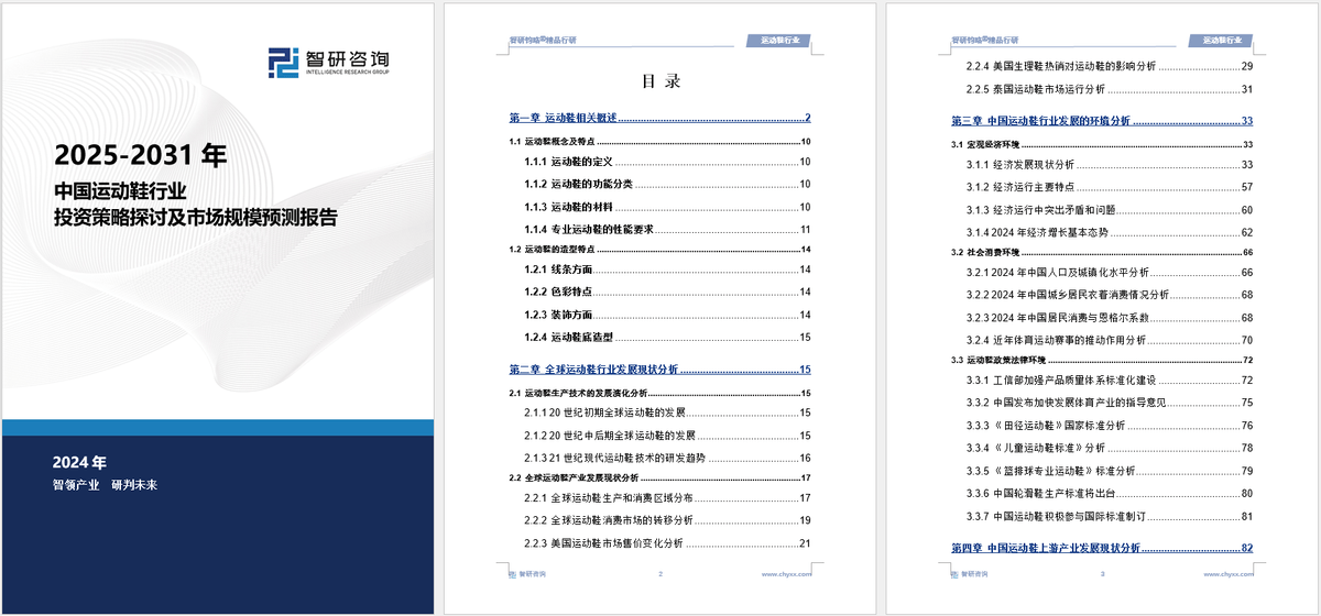 资前景研究报告（2025-2031年）新利体育登录中国运动鞋行业发展现状及投(图6)
