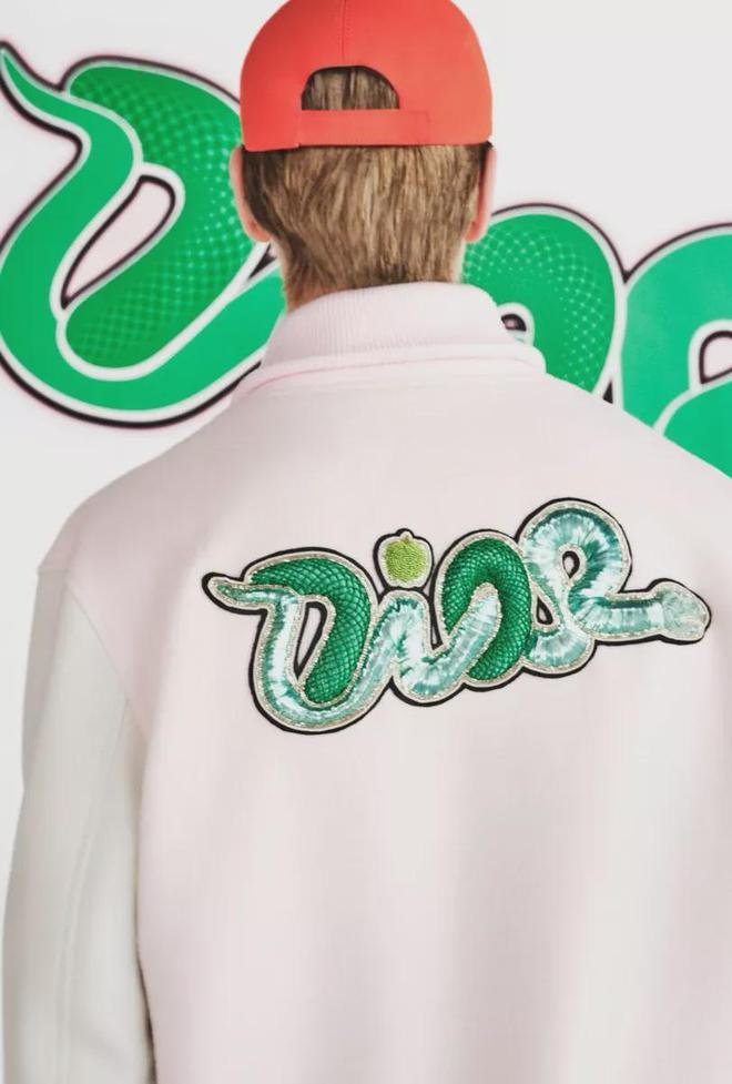 ws」新联名！蛇年限定发售了新利娱乐「Dior x Ka(图8)